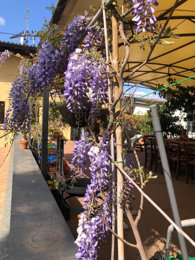 Touristic Apartment "Agata" Sirmione Buitenkant foto